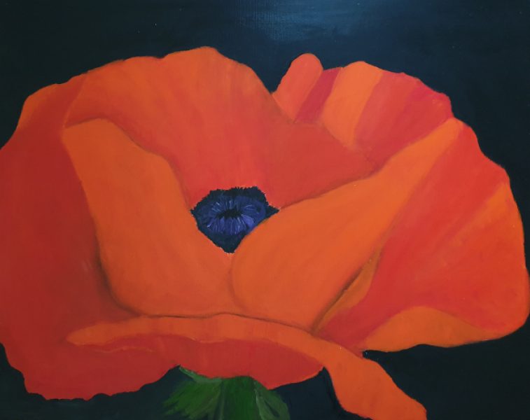 Renate Volkland - Mohnblüte